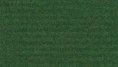 /products/566-broccoli-interlife-tretford-banen/